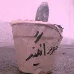 عکس شناسنامه ای شورانگیز.