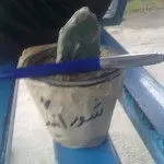 شورانگیز دست به قلم بود.