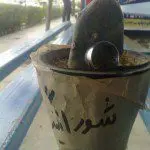 برخی بر این باورند که شورانگیز متاهل بود.