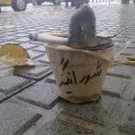 شورانگیز برای تمدد اعصاب گاهی روی به دخانیات می آورد. ولی خود برای جبران صدمه ی وارده به محیط زیست، اکسیژن تولید میکرد.