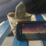 شورانگیز یکی از طرفداران بازی پرندگان عصبانی بود