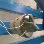 شورانگیز موسیقی کلاسیک گوش میداد.