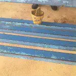 شورانگیز تنها در صف