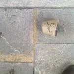 شورانگیز در حال چرت بعد از ناهار