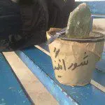 شورانگیز چاقو کش بود