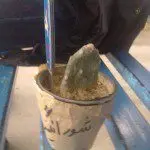شورانگیز همواره آماده ی جدال بود